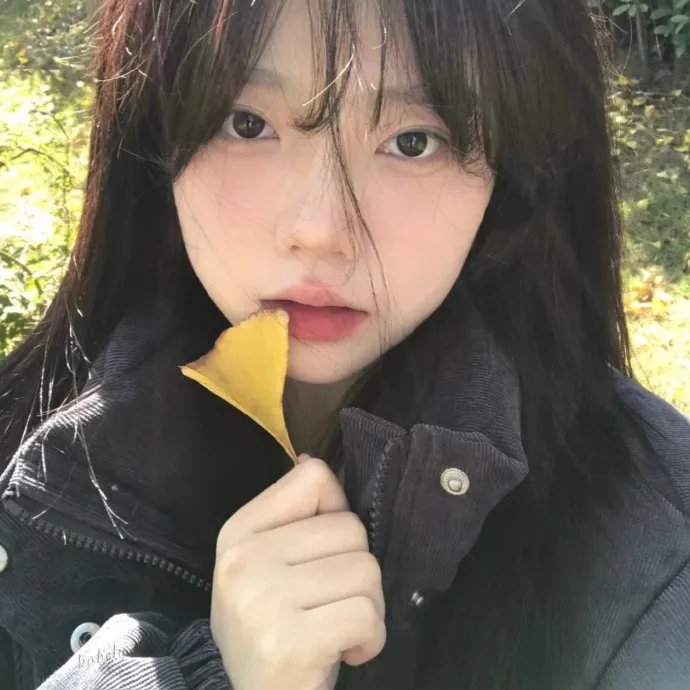 大白鲨4:复仇
